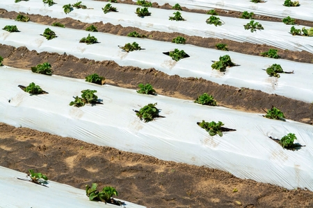 Imagen mostrando plastico como botellas, botes y tapas de los mimsos demostrando la aplicacion o uso del producto 